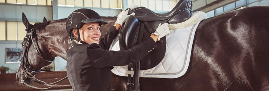 Equipement du cheval et du cavalier